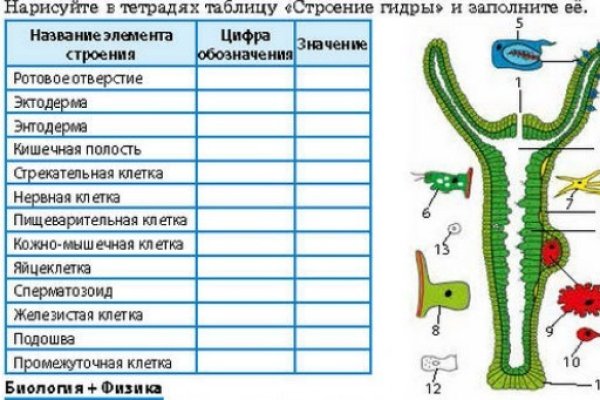 Как пройти капчу в блэк спрут