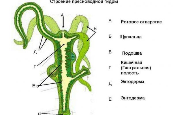 Pasaremos blacksprut ссылки