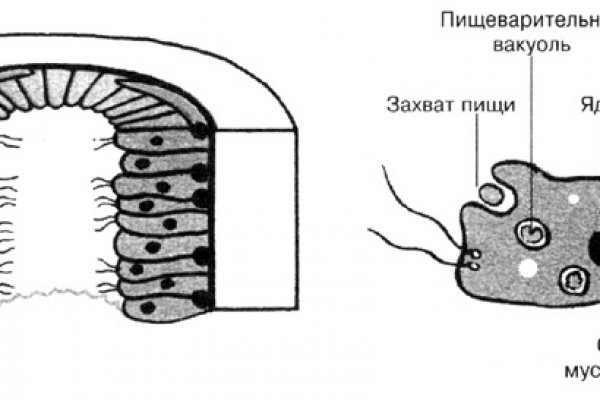 Ссылка на сайт блэкспрут тор